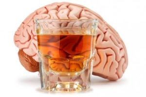 alcohol-brain